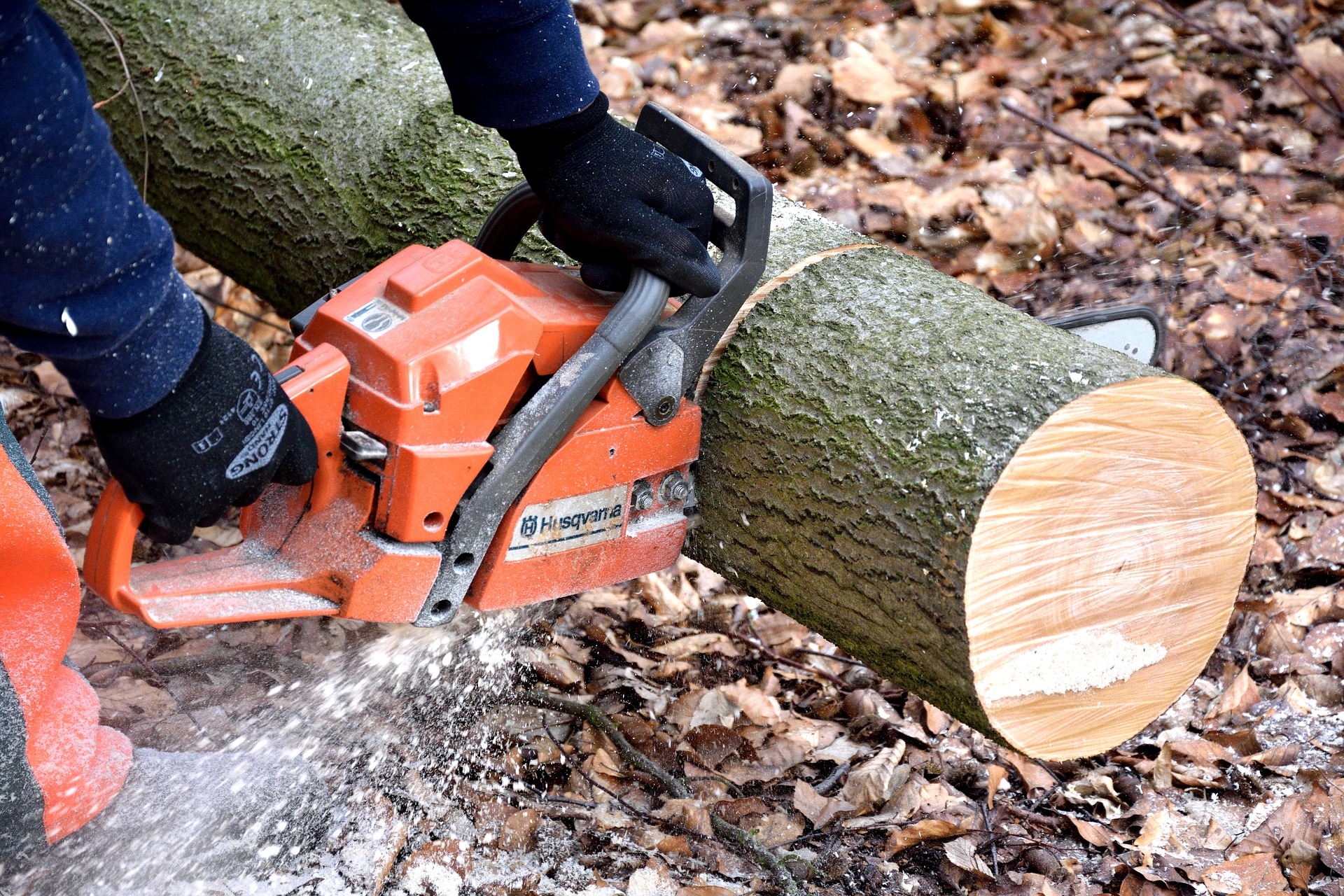 Abattage d'arbres : quel taux de TVA ?